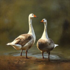 Spiritual Meaning of Two Geese