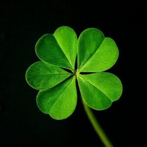 Spiritual Meaning of the Four-Leaf Clover