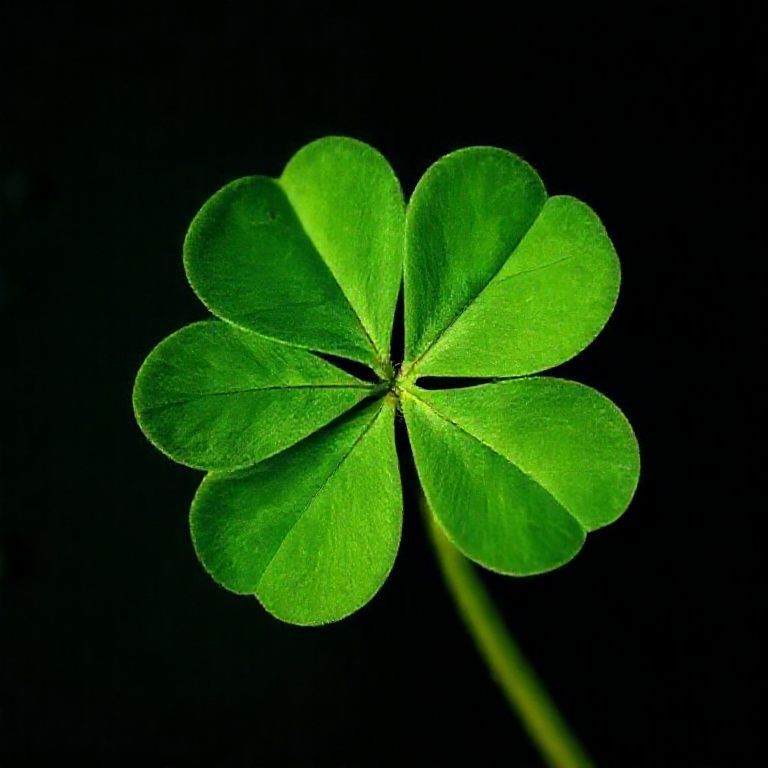 Spiritual Meaning of the Four-Leaf Clover