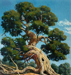 Spiritual Meaning of Juniper