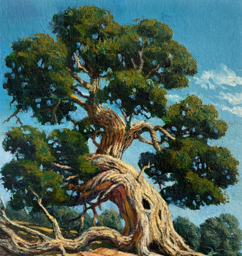 Spiritual Meaning of Juniper