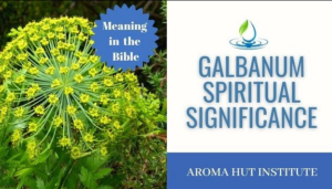 What Is Galbanum in the Bible