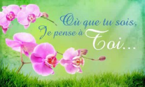 Jolie Photo d Amour Pour Anniversaire