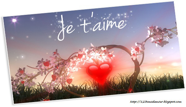 Message fantastique pour dire bon anniversaire à mon amour